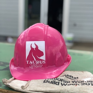 Taurus Investment Holdings, LLC